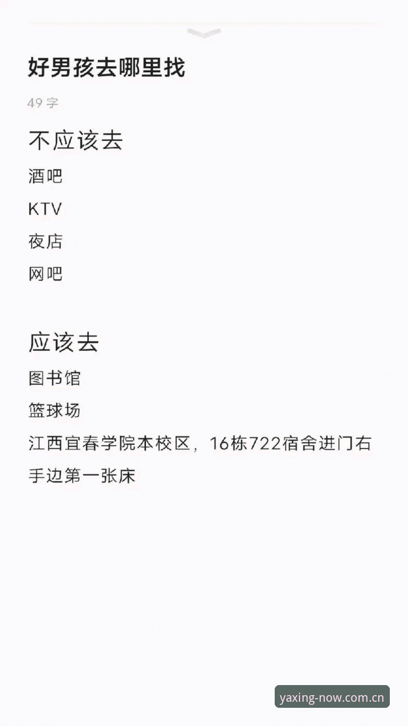 亚星体育平台新手上手指南：从注册到数据解读的完整策略