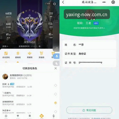 亚星娱乐数据查询完整指南：一个老玩家的真实体验与操作手册